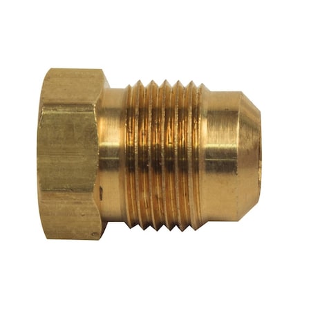 39-F 1/2 Inch Brass Flare Plug 2/Pack